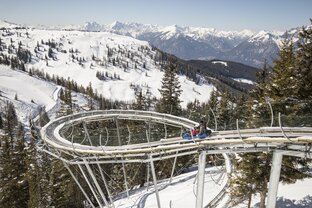 Alpine Coaster